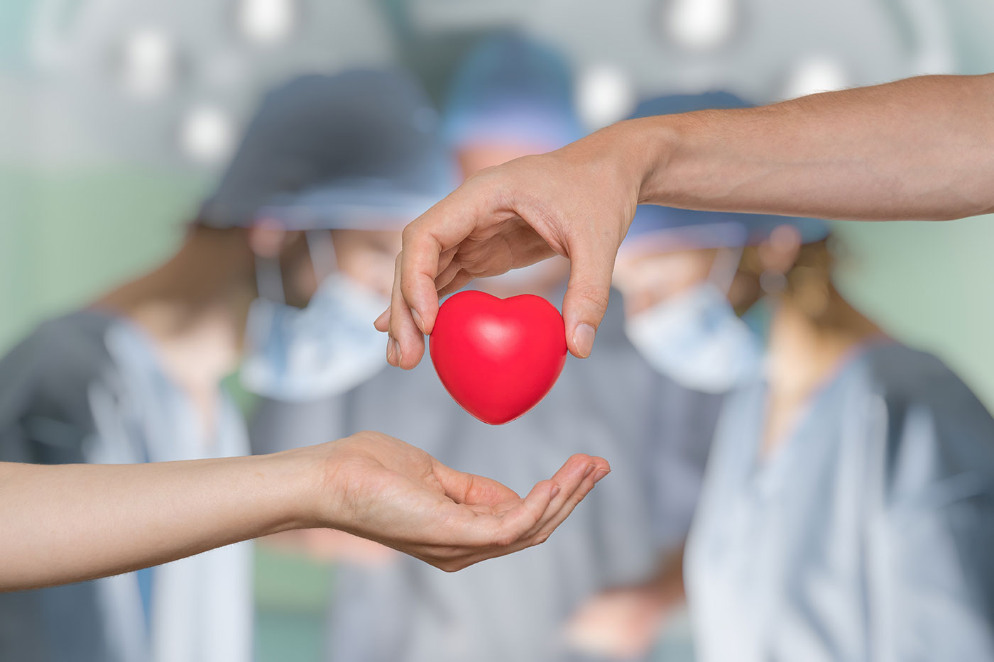 10 perguntas e respostas sobre doação de órgãos